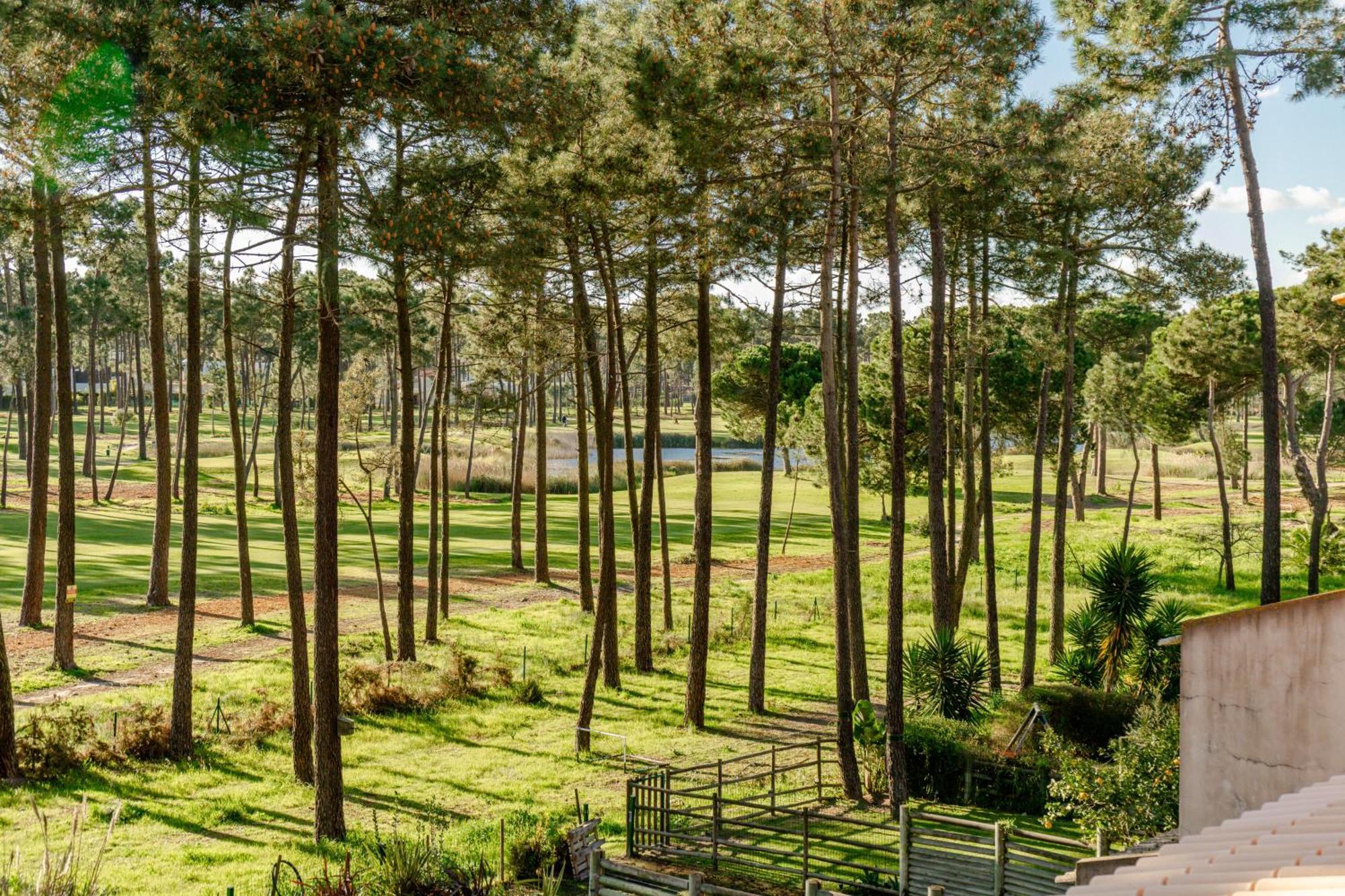 Aroeira - Sea & Golf Apartment Zewnętrze zdjęcie